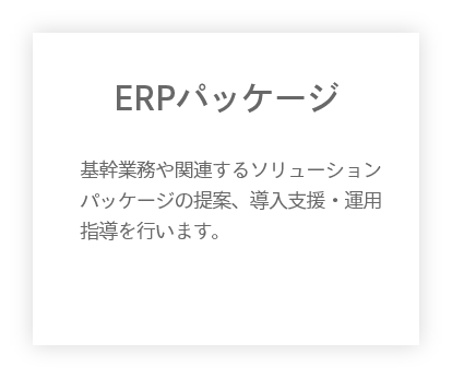 ERPパッケージ